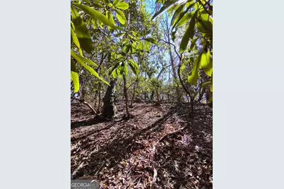 0 Ivy Ridge Way #LOT 6, Clarkesville, GA 30523 - Photo 16