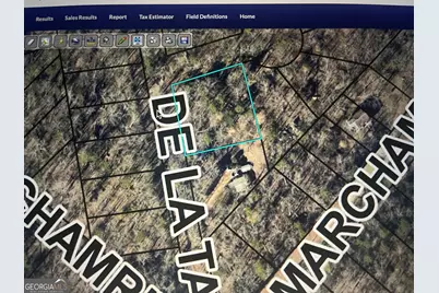 132 De La Taix Drive, Lavonia, GA 30553 - Photo 4