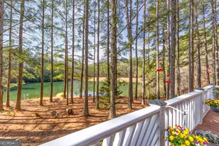 404 Golden Delicious Rd, Clarkesville, GA 30523 - Photo 34