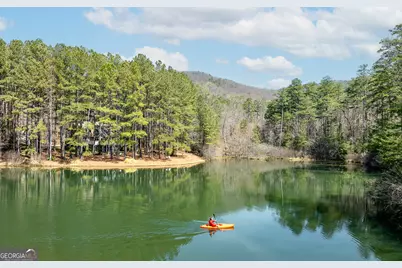 404 Golden Delicious Road, Clarkesville, GA 30523 - Photo 8