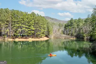 404 Golden Delicious Rd, Clarkesville, GA 30523 - Photo 8