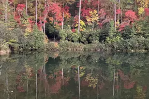 404 Golden Delicious Rd, Clarkesville, GA 30523 - Photo 112