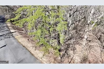 125 Grey Eagle Drive, Waleska, GA 30183 - Photo 6