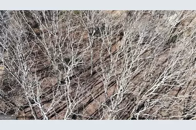 125 Grey Eagle Drive, Waleska, GA 30183 - Photo 4