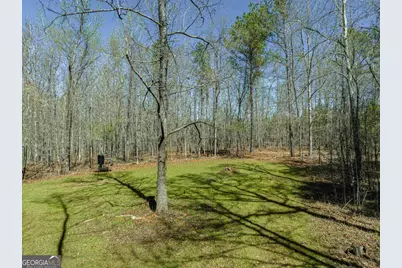 0 Carrs Station Road, Sparta, GA 31087 - Photo 22