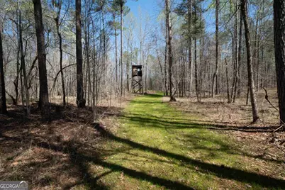 0 Carrs Station Road, Sparta, GA 31087 - Photo 36