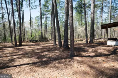 0 Carrs Station Road, Sparta, GA 31087 - Photo 14