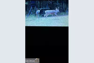 0 Carrs Station Road, Sparta, GA 31087 - Photo 38