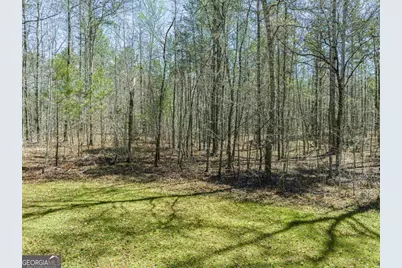 0 Carrs Station Road, Sparta, GA 31087 - Photo 30