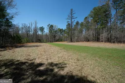 0 Carrs Station Road, Sparta, GA 31087 - Photo 16