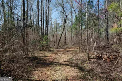 0 Carrs Station Road, Sparta, GA 31087 - Photo 10