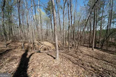 0 Carrs Station Road, Sparta, GA 31087 - Photo 18