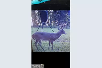 0 Carrs Station Road, Sparta, GA 31087 - Photo 40