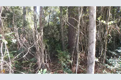 V/L 21 Lighthouse Circle, Woodbine, GA 31569 - Photo 4