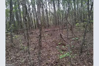 75 Lee Lane, Greenville, GA 30222 - Photo 10