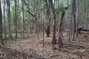 75 Lee Ln, Greenville, GA 30222 - Photo 1