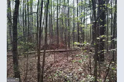 75 Lee Lane, Greenville, GA 30222 - Photo 6