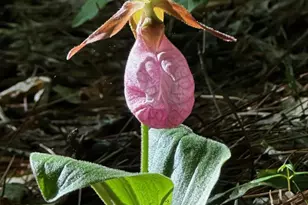 310 Austin Rd, Newnan, GA 30263 - Photo 30