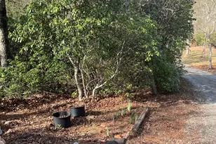 169 Wild Horse Cove Cir, Cleveland, GA 30528 - Photo 14