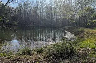 169 Wild Horse Cove Cir, Cleveland, GA 30528 - Photo 4