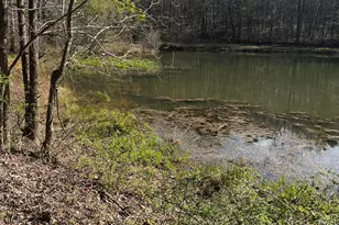 169 Wild Horse Cove Cir, Cleveland, GA 30528 - Photo 10