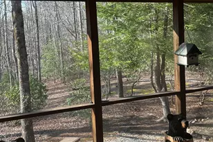 169 Wild Horse Cove Cir, Cleveland, GA 30528 - Photo 64