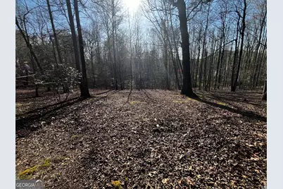 169 Wildhorse Cove Circle, Cleveland, GA 30528 - Photo 26