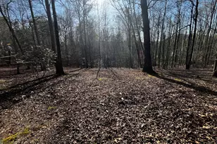 169 Wild Horse Cove Cir, Cleveland, GA 30528 - Photo 26