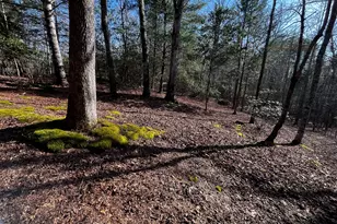 169 Wild Horse Cove Cir, Cleveland, GA 30528 - Photo 32