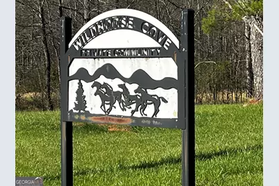 169 Wildhorse Cove Circle, Cleveland, GA 30528 - Photo 6