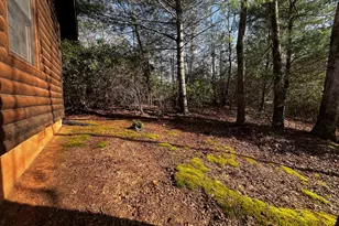 169 Wild Horse Cove Cir, Cleveland, GA 30528 - Photo 32