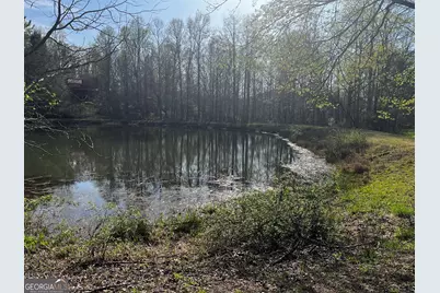 169 Wildhorse Cove Circle, Cleveland, GA 30528 - Photo 8