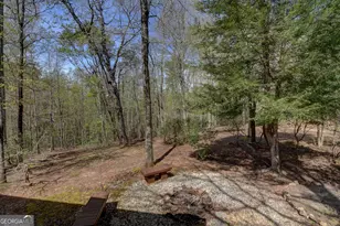 169 Wild Horse Cove Cir, Cleveland, GA 30528 - Photo 30