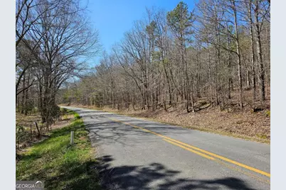 0 Prior Station Road #TRACT 4, Cedartown, GA 30125 - Photo 4