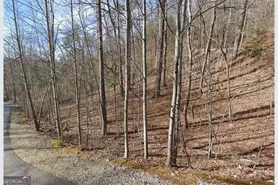 0 Brown Hawk Drive, Clayton, GA 30525 - Photo 1