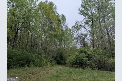 0 Fischer Spur Road, Newnan, GA 30265 - Photo 4