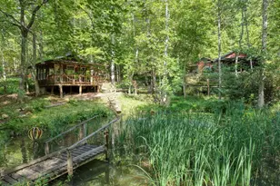 136 Honeybell Ln, Blairsville, GA 30512 - Photo 46