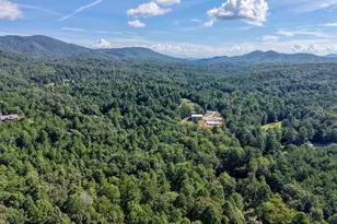 136 Honeybell Ln, Blairsville, GA 30512 - Photo 64