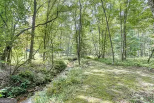 136 Honeybell Ln, Blairsville, GA 30512 - Photo 54