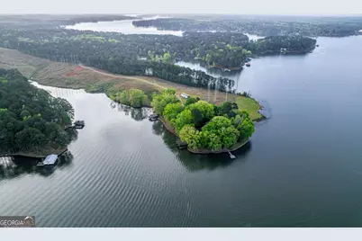 390 David Williams Road, Sparta, GA 31087 - Photo 92