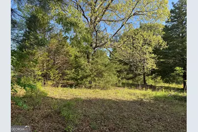 104 Old Perry Road, Bonaire, GA 31005 - Photo 4