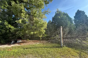 104 Old Perry Rd, Bonaire, GA 31005 - Photo 1