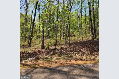 86 Edgewater Trail S, Toccoa, GA 30577 - Photo 1