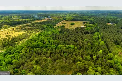 423 Coweta Heard Road, Hogansville, GA 30230 - Photo 16