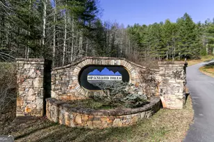 1248 Spaniard Point Rd, Hiawassee, GA 30546 - Photo 62