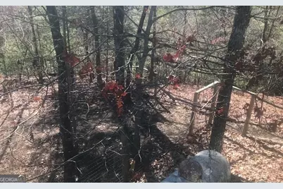 1248 Spaniard Point Road, Hiawassee, GA 30546 - Photo 46