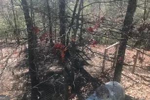 1248 Spaniard Point Rd, Hiawassee, GA 30546 - Photo 46