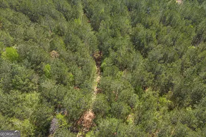 0 Athens Highway, Elberton, GA 30635 - Photo 16