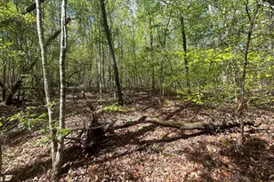 0 Shore Crest Dr, Martin, GA 30557 - Photo 1