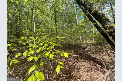 0 Shore Crest Drive #LOT 15, Martin, GA 30557 - Photo 2